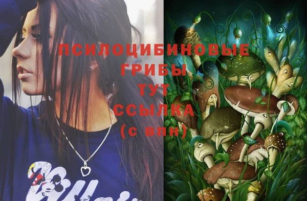 кристаллы Слюдянка