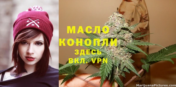 2c-b Снежногорск