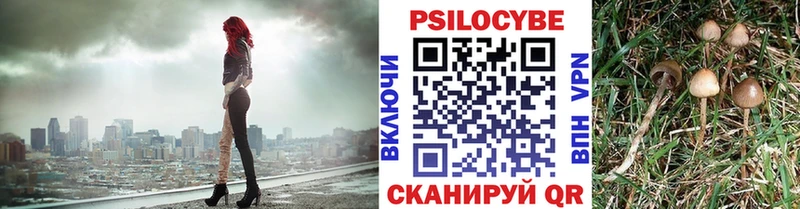 сколько стоит  Болгар  OMG онион  Псилоцибиновые грибы Psilocybine cubensis 